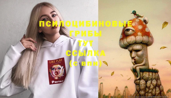 apvp Ростов