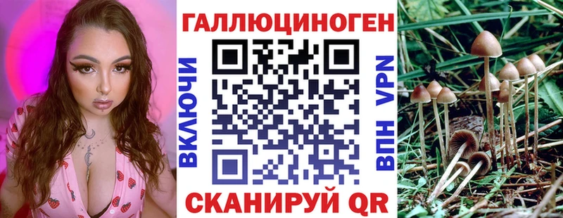 Галлюциногенные грибы GOLDEN TEACHER Темрюк
